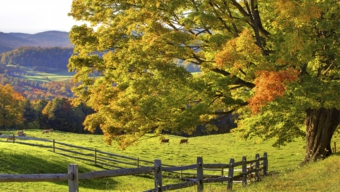 wallpapers-autumn-scenery-background-nature-vbjmbp-desktops-beautiful-definition-high.jpg